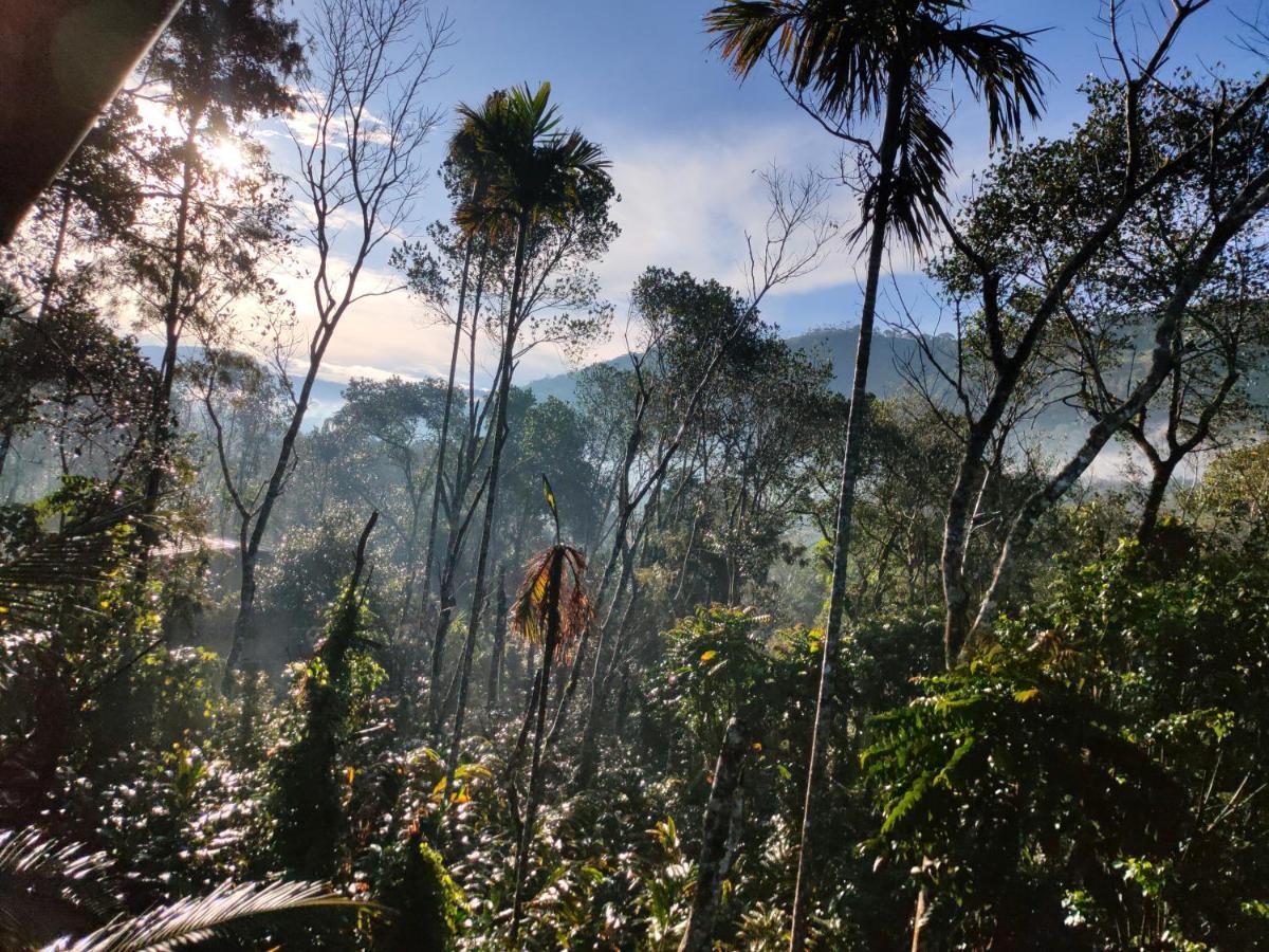 Villoonnickal Homestay Munnar Extérieur photo