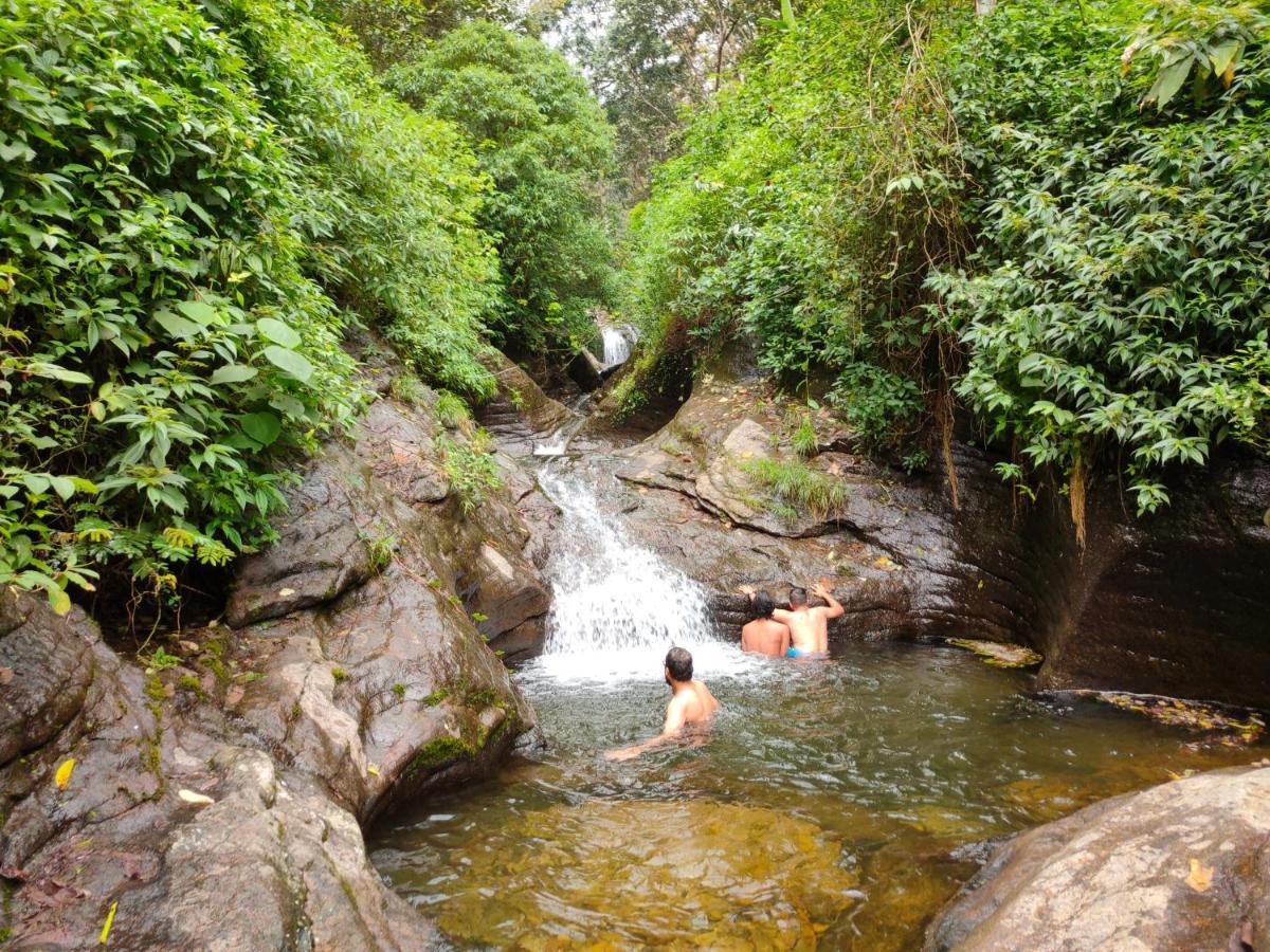 Villoonnickal Homestay Munnar Extérieur photo